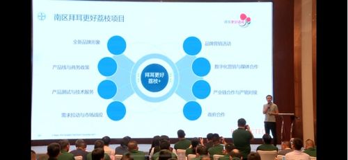 全國荔枝主產(chǎn)區(qū)種植面積達810萬畝 如何實現(xiàn)荔枝產(chǎn)業(yè)興旺